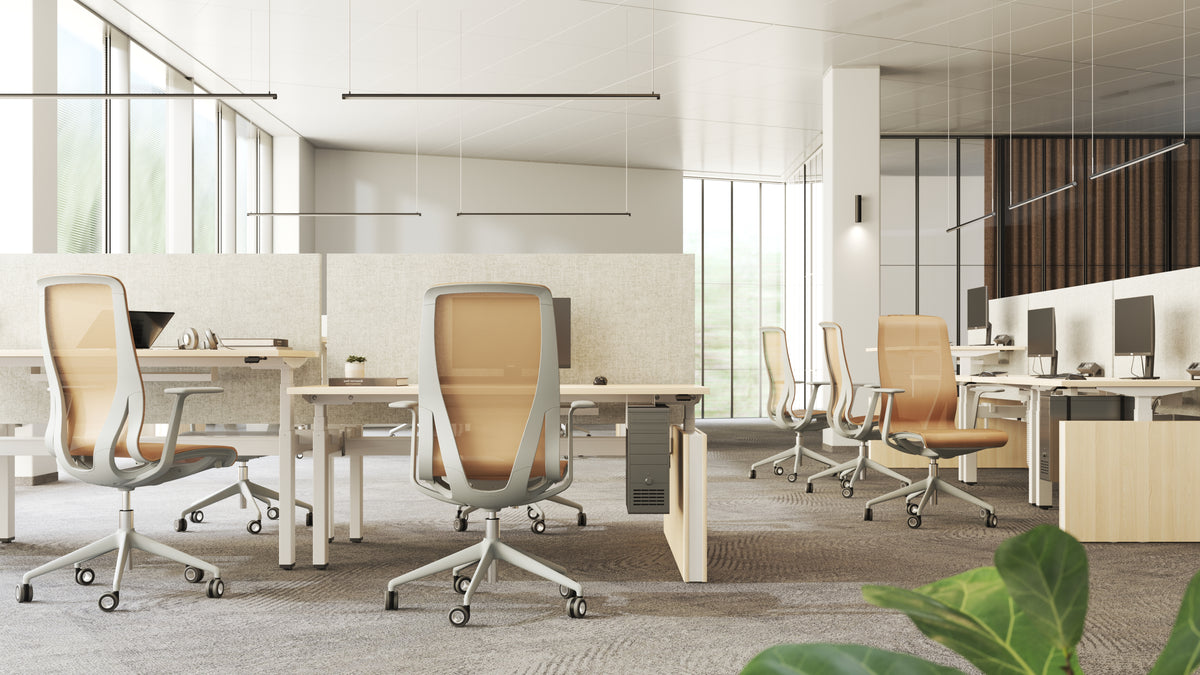 Meeting Chair Rivo