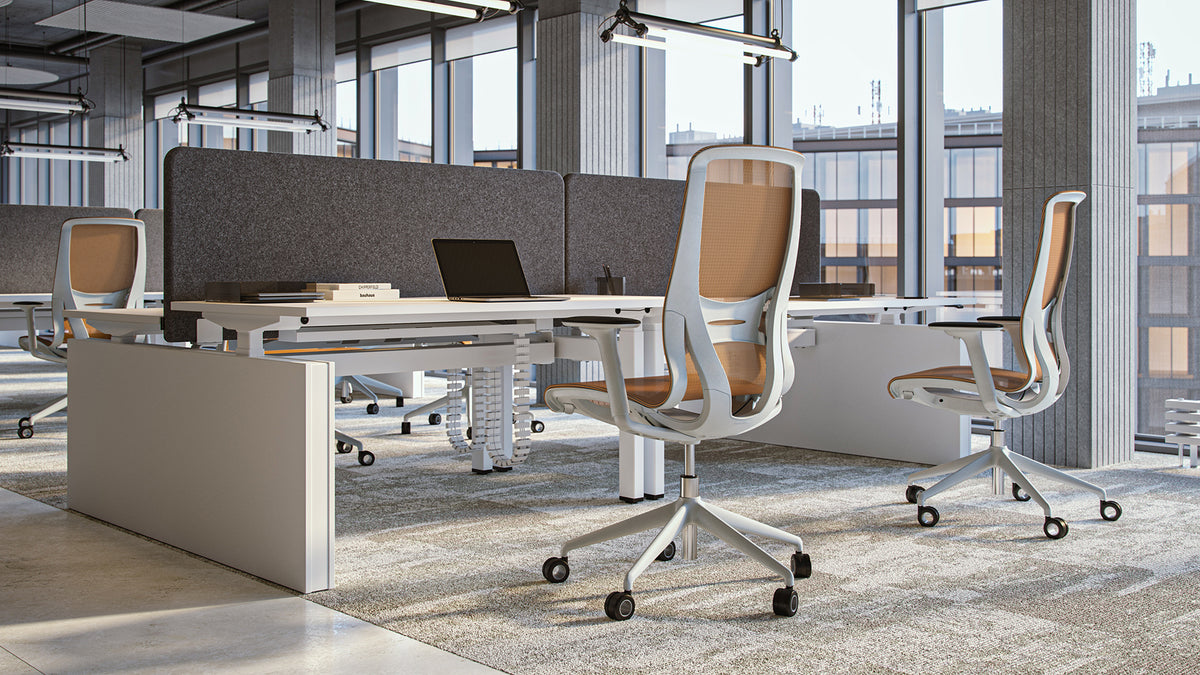 Meeting Chair Rivo